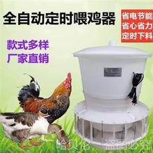 定量自动喂食器喂鸡鸭全自动鹅下定时电动料喂料机鸽子养鸡投远程