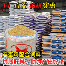 �S��ֱ�N���r�a���u����B�u�S������u���Z���ͨ���͸ߠI�B