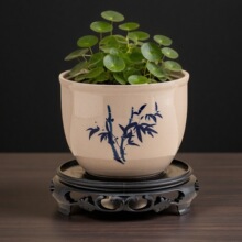 ˮ�໨���մɽ��X��һ�~ɏ��ɏ˯ɏ�~�X��ˮɏ��ˮ�B����ľˮ����