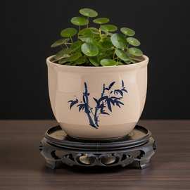 水培花盆陶瓷金钱草一叶莲碗莲睡莲铜钱草水莲花水养巴西木水仙盆