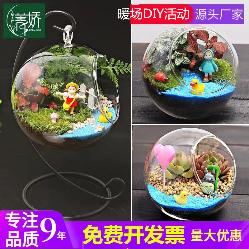 Warm-up Activity Moss Micro Landscape Ecological Bottle Succulent Plant diy Material Glass Potted Ornament Gift Set