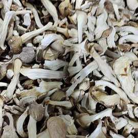 新货凤尾菇秀珍菇菇菌 真姬菇 干货天然袖珍菇250/500农产品