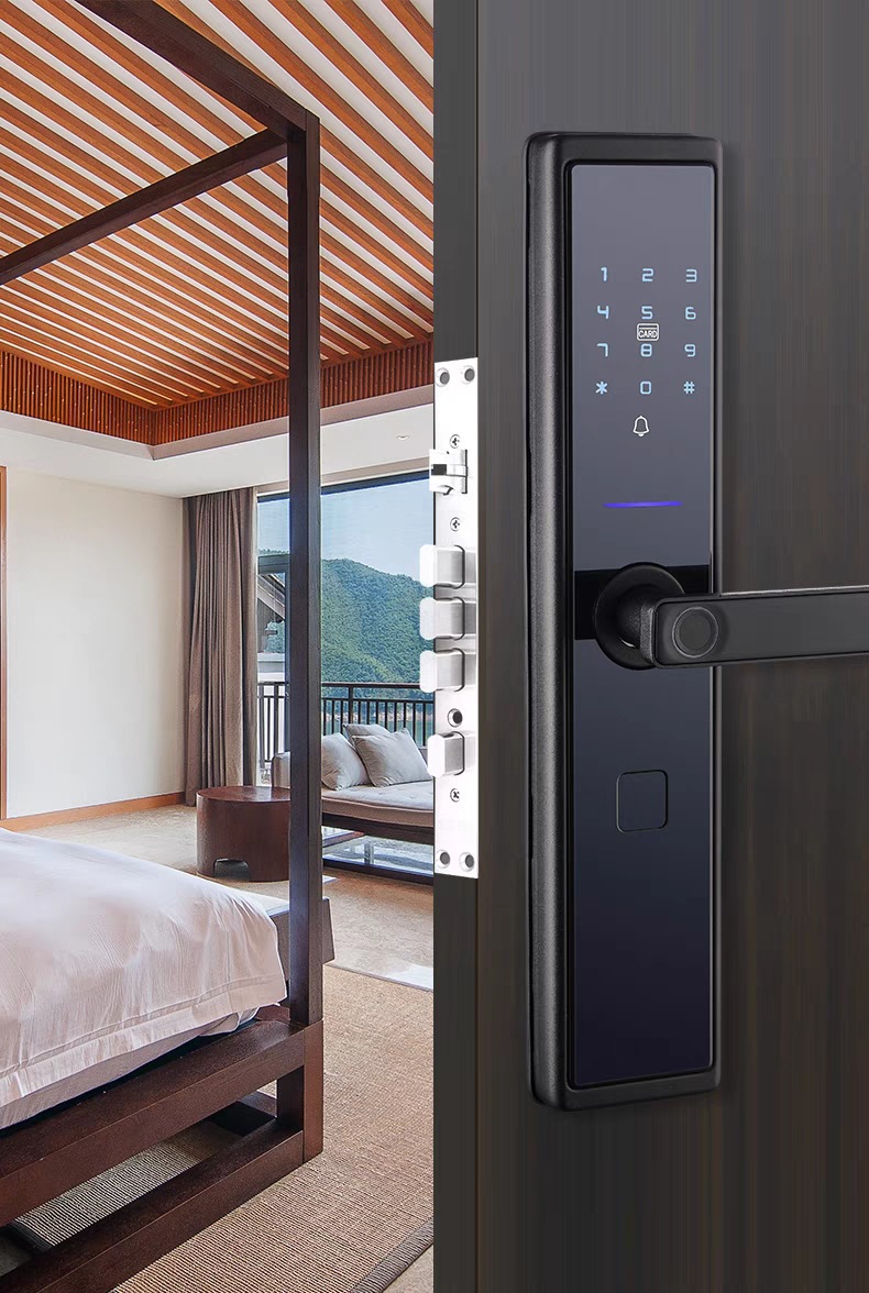 Graffiti WIFI Home Security Door Password Fingerprint Lock Apartment Homestay Remote Management All Lock TTLOCK Door Lock