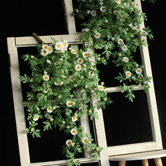 裝飾遮擋掛牆綠植仿真雛菊花藤假花藤條壁掛植物吊蘭藤蔓綠葉垂吊