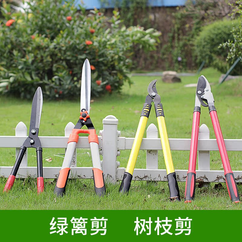 大号花剪园艺剪刀绿篱剪工具草坪修枝剪花草树枝剪粗枝园林大剪刀