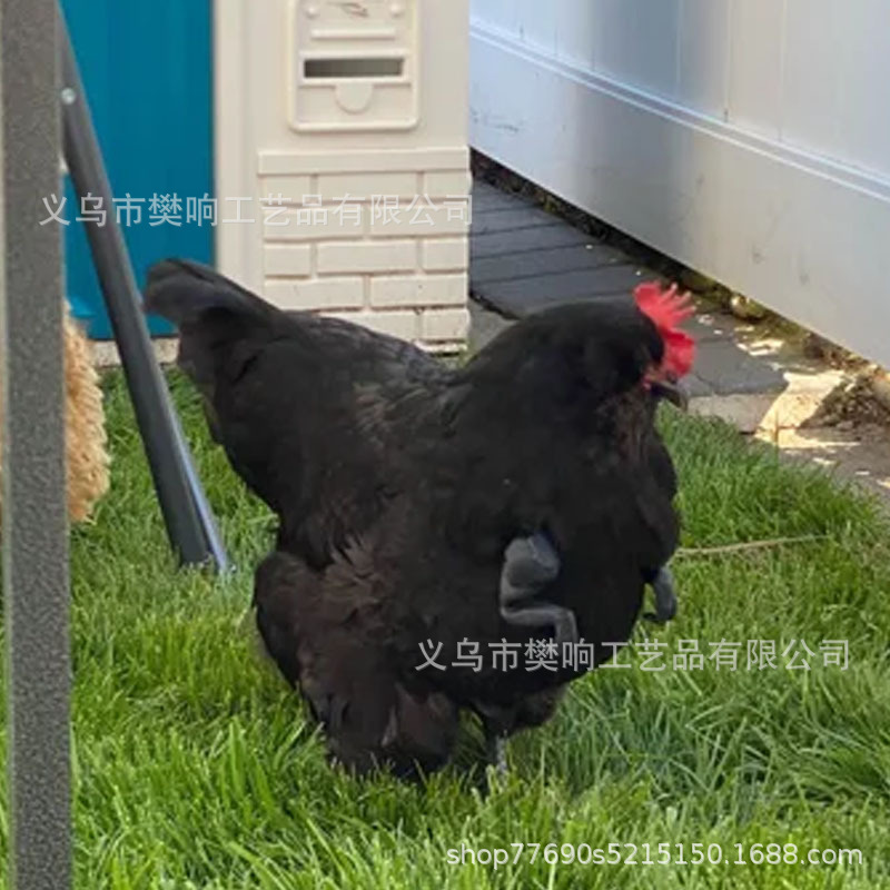筋肉質の腕を持つ面白い猫面白い筋肉質の手と開発された腕クリエイティブな猫の首飾り|undefined