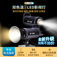 摄影灯EF220BI双色温LED补光灯专业直播间灯影棚球形拍摄灯室