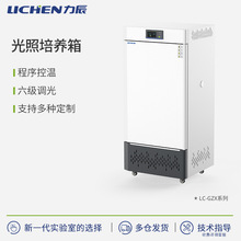 ����ù�����B������a���䌍��Ґa�ؐa��ԇ���N�Ӱlѿ��ѿ