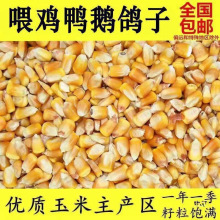 ���������l100���Bֳ����ɢ�b������ι�u���Z�i������~��C���]