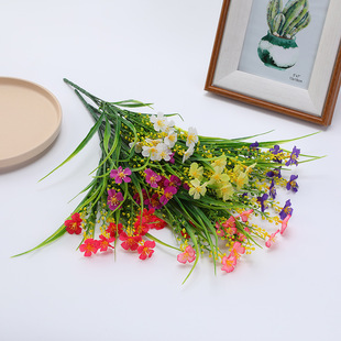 ���R�d�羳���滨�����m���Ҿ��b����ϼٻ�ˮ�ݾGֲ�����c����