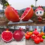 造型定制仿真卡通石榴籽