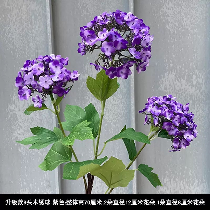 보라색