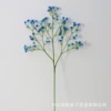 Blue, 52cm