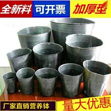 ��ľ�I�B������һ���Դ�������N���辰�Nֲ�ڰ�Ĥ�����Ѩ�P��