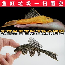 �~���^�p�~����Ꭷ�~������~���坍���坍�~�����~�����~�ԼS��