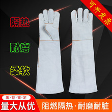 60ֶ늺ӷ𾀒LиwRoȼ늺