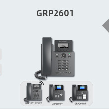 λWjGRP2601W ZԒC ֧WIFI ֧2SIP~̖