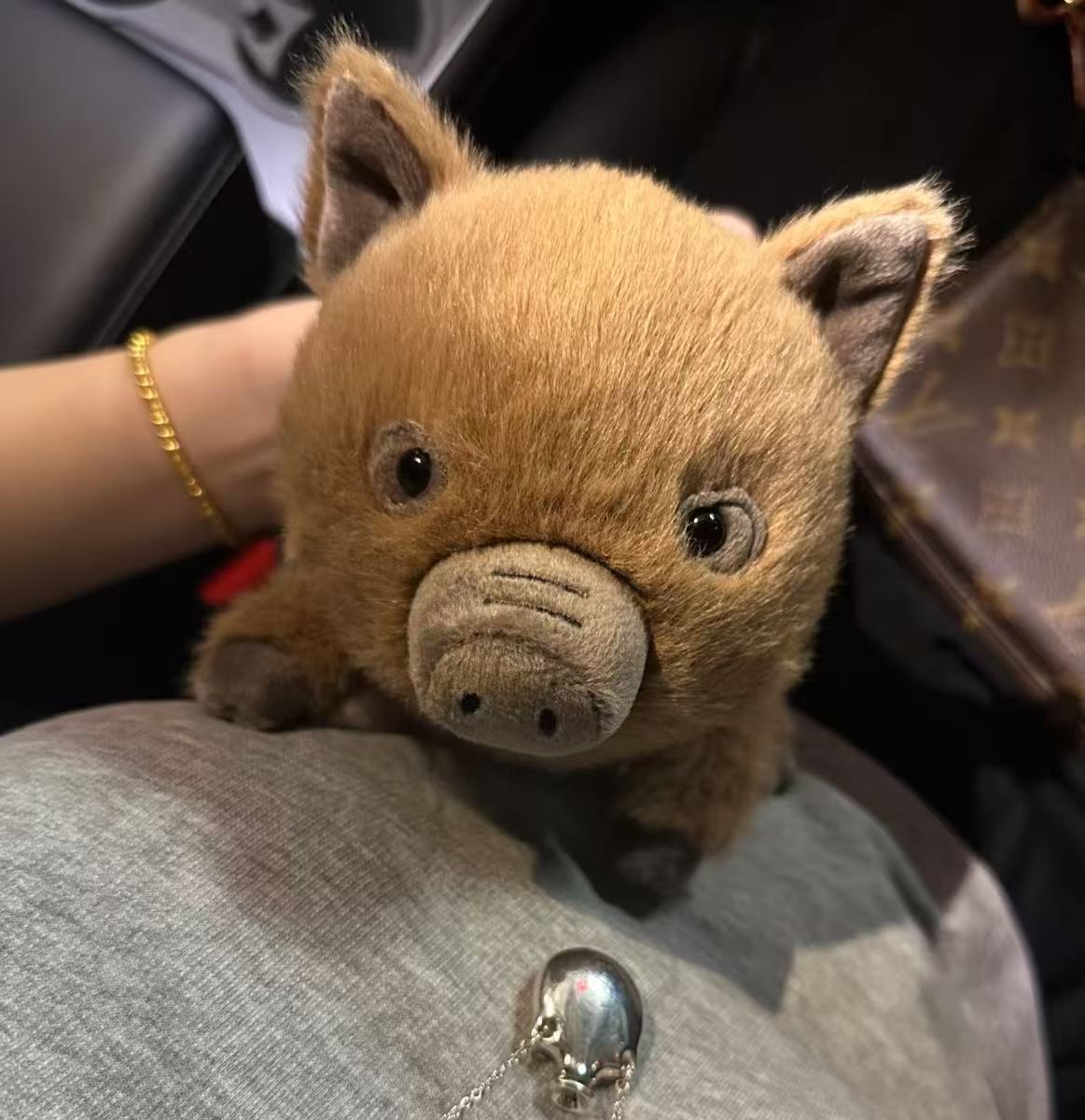 コレクション1;