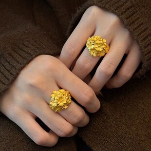 �Sɫ���򻨏͹Ž�ָ��ʽ�������������С�����ظ߼����p��ʳָ��