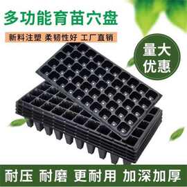 育苗穴盘育苗盘加厚PVC蔬菜多肉芽菜扦插盘辣椒秧苗盘草莓育苗盆