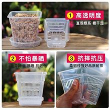 �m������͸������Ӻ�͸�����ϻ���ظ�������m��ֲ�@���mˮ��@