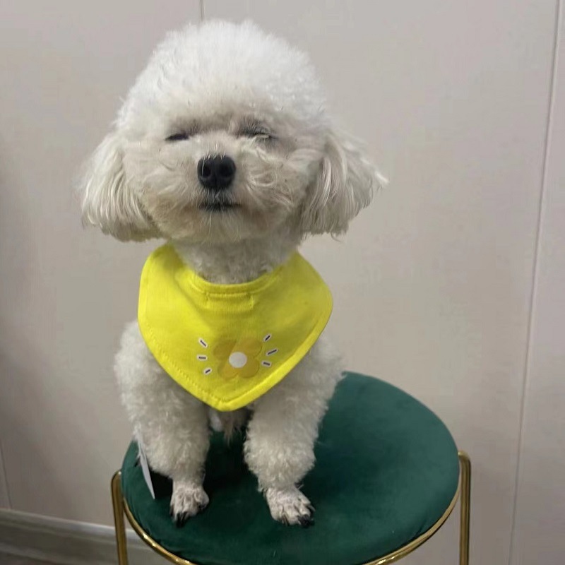 微信图片_20220611111415