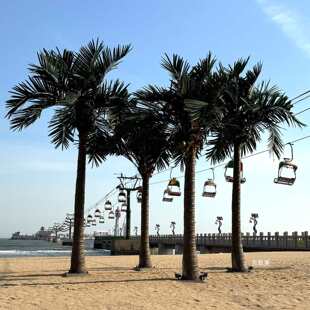 ����Ҭ�Ә��Ҭ����͑���ɳ���Θ��@���^�쾰�b٘�����ؙ���