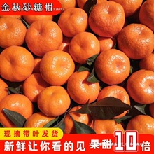 ���Ӯ������rˮ����Ƥɰ���������S���l�ЋDСؕ�۽�����ɳ����