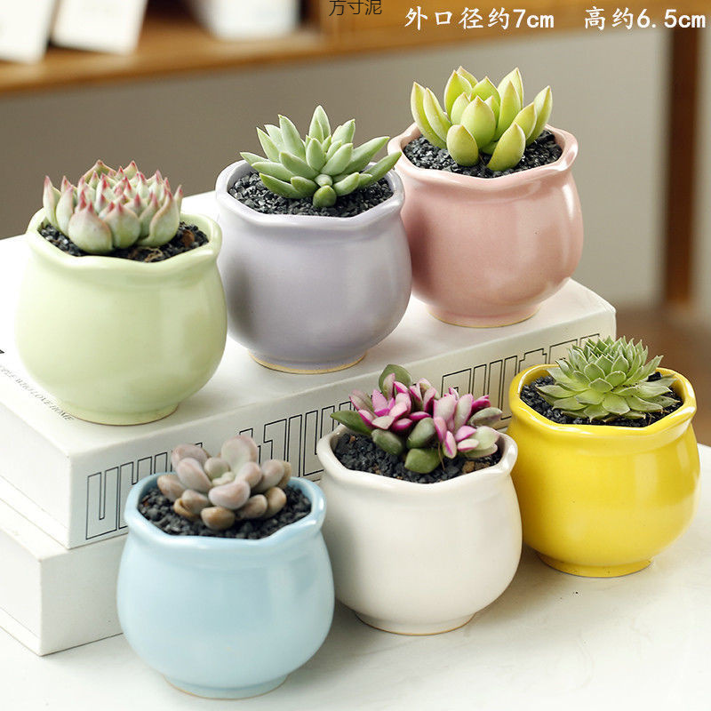 Large Ceramic Succulent Flower Pot Set for Old Stumps, Personalized Succulent Plant Combo, Small Pots, Cross-Border Factory Wholesale