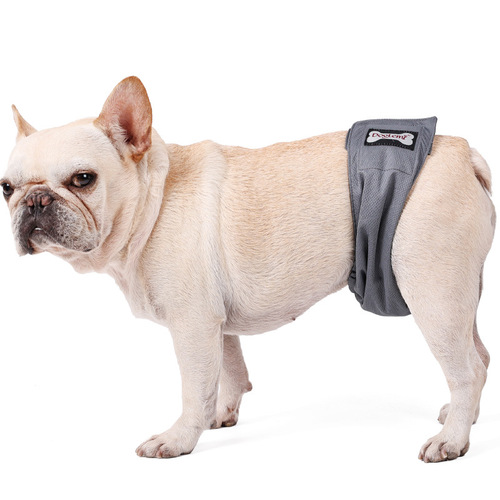 Pet menstrual pants, sterilizing, absorbent, quick-drying, male dog menstrual pants, pet sanitary pants, pet anti-harassment estrus underwear