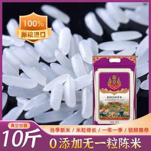 ̩�� ̩���������׻ʸ������L��������5KG���׏S��ֱ�N�Fُ�Z��