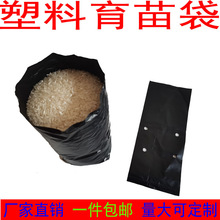黑色加厚PE育苗袋柑橘营养杯营养钵果苗杯盆景种植袋批发营养袋