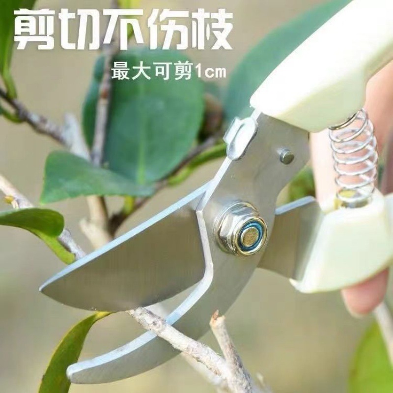 Tijeras de poda de árboles frutales tijeras de podar de jardinería tijeras de podar de jardín tijeras de podar fuertes tijeras de podar de flores artefacto