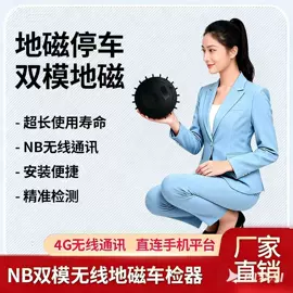 车辆检测仪;停车场设备;交通收费设备