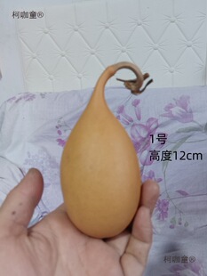 ����С���Jһ��һ�DС���N��̫��