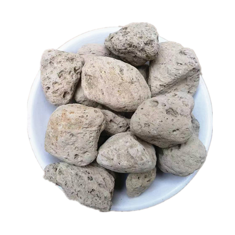 Hai Fu Shi Sea Fossils Dried Mineral Herb Traditional TCM Decoction Ingredient 500g in use