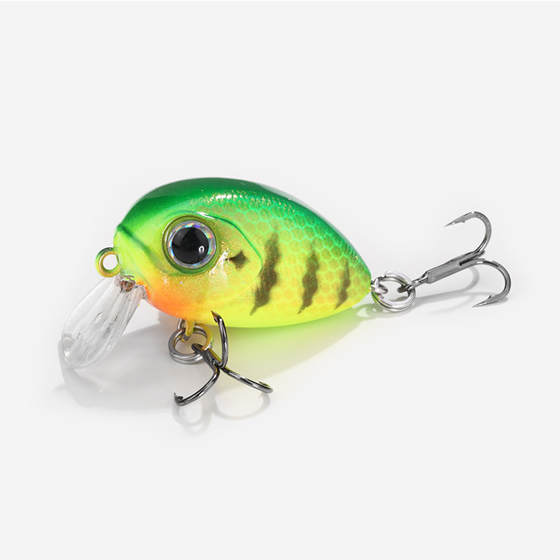 #컬러-2 그린 백 메쉬 바디