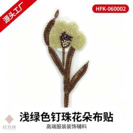 浅绿色钉珠花朵布贴 网纱刺绣服装装饰 DIY 辅料 HFK-060002