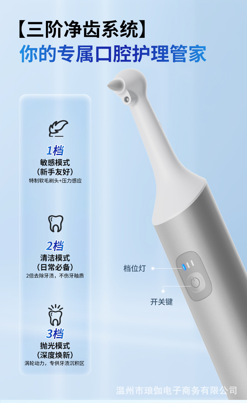Cross-border New Tooth Polisher Electric Teeth Cleaner Oral Irrigator Adult Toothbrush Stain and Plaque Remover