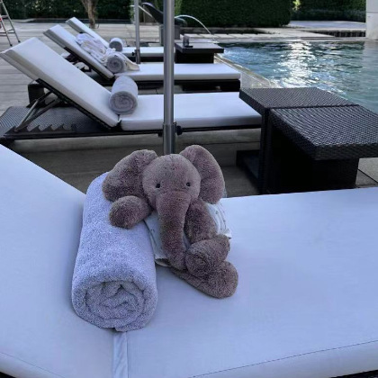 コレクション1;