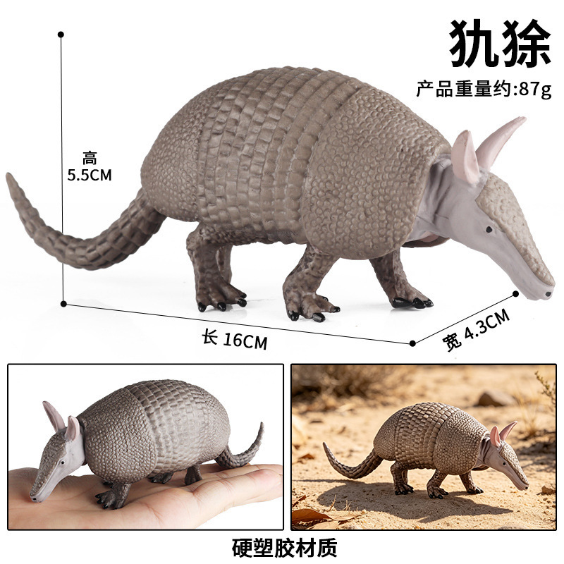 1194 armadillo