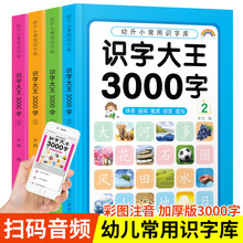 儿童识字书 全套4册 识字大王3000字 学前识字幼儿早教看图认字书