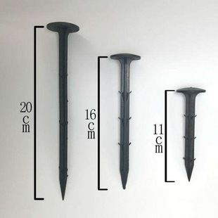 �S�ҹ������ݵز�� �@ˇ�ز�� �@�֑����� ���ϵ��