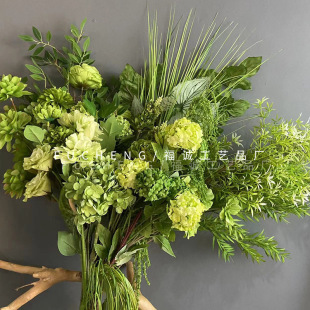 ��c�Gɫϵ���滨õ�彑��ĵ��ɭϵ��Yܛ�b����Gֲ�~�ӑ���ٻ�