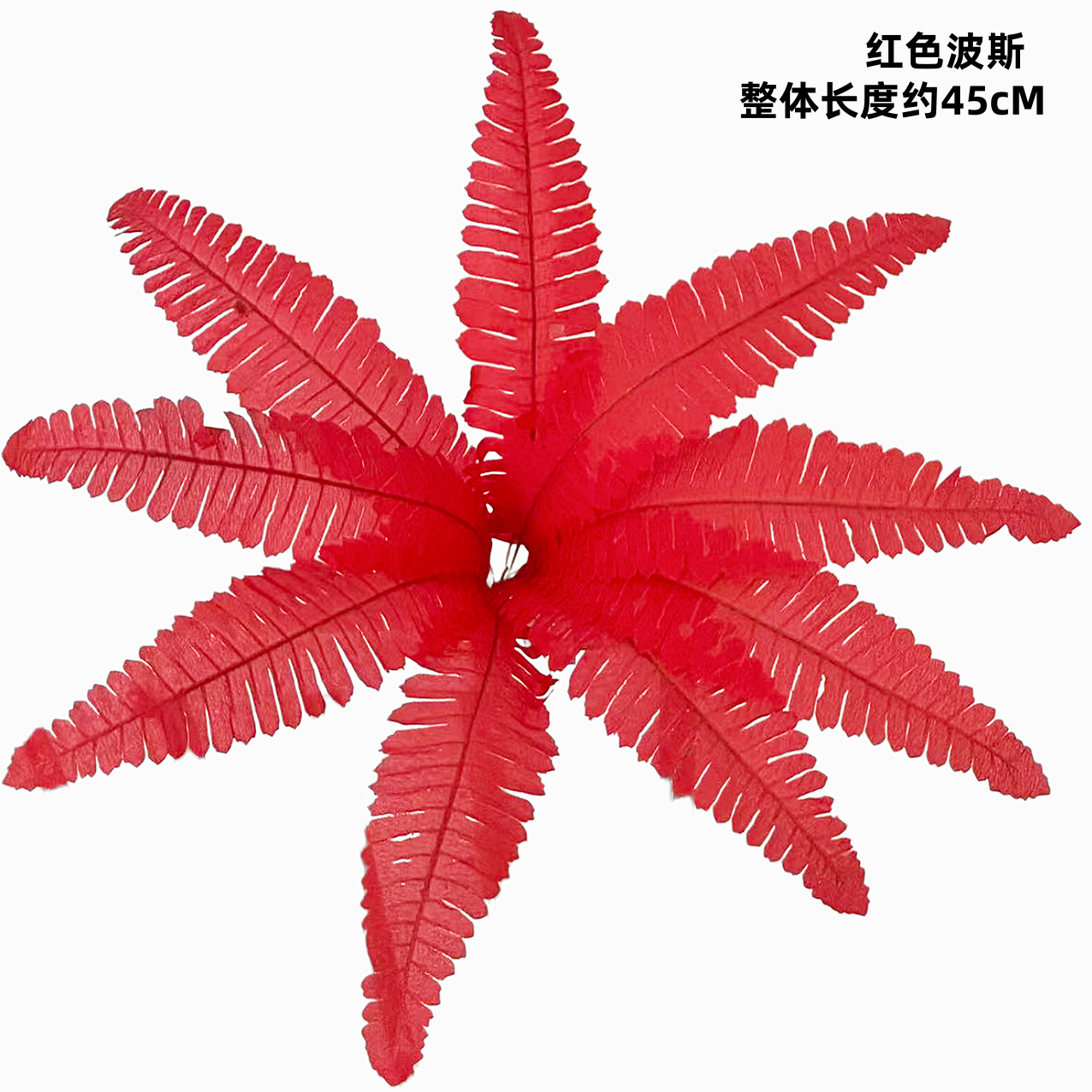 9葉レッドペルシャ（大葉）