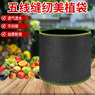 �Gֲ������ֲ��ë�ַN����������̨�ˈ@�Nֲ��Ӻ�o�����Nֲ��