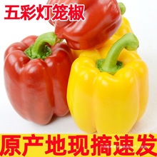 �߲�������ʽ�ˮ�����\�t�������rС�׽�����A���߲�2����]