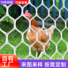 加厚阳台防坠网 养殖育雏塑料网家禽漏粪脚垫养蜂网 塑料平网