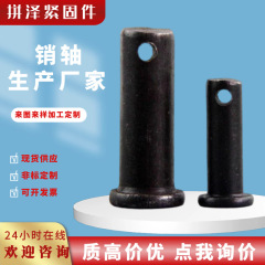 高強度炭素鋼4.8級ピン軸メーカー現物平頭穴付き円柱ピン軸位置決め面取りピン軸