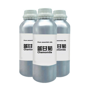 �{�ʾվ��� Chamomile �η����� �o�w ���yƷԭ�� 10mlԭ�Ϲ��S